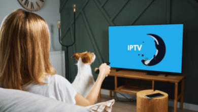 Norsk IPTV: The Future of Television with Unmatched Sports Coverage, Premium Channels, and VOD Services