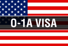 O-1 Visa Case