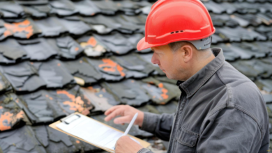 How to Spot Roof Damage Early and Avoid Expensive Repairs