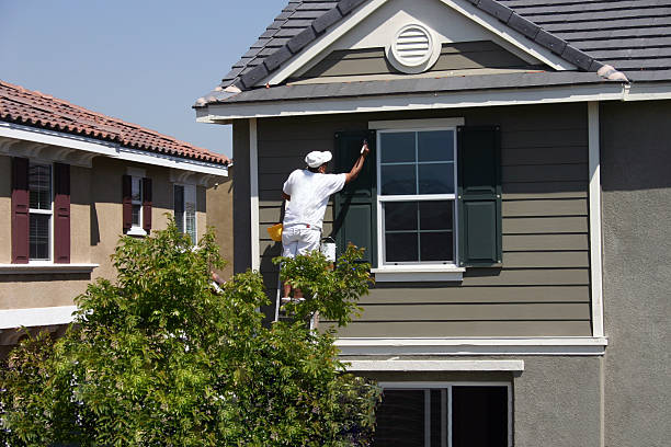 Experienced Residential Painters for Hassle-Free Interior and Exterior Painting