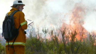 Fire Risk Assessment