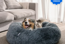 Why a Deep Sleep Pet Bed Is the Ultimate Comfort Choice for Your Furry Companion