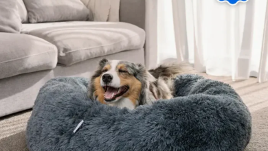 Why a Deep Sleep Pet Bed Is the Ultimate Comfort Choice for Your Furry Companion
