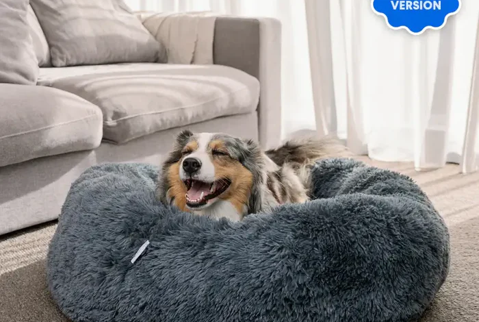 Why a Deep Sleep Pet Bed Is the Ultimate Comfort Choice for Your Furry Companion